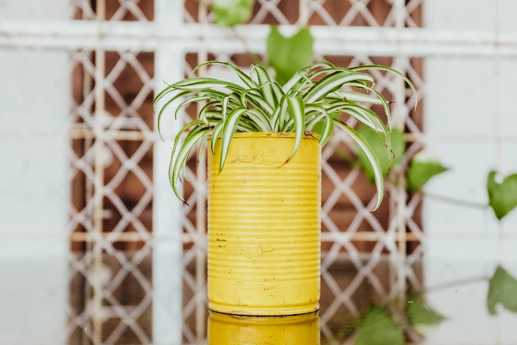 A yellow DIY tin can planter.
